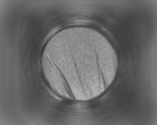 X0000080741362200701121926