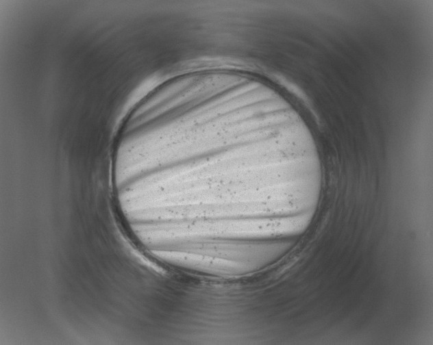 X0000080741365200701121926