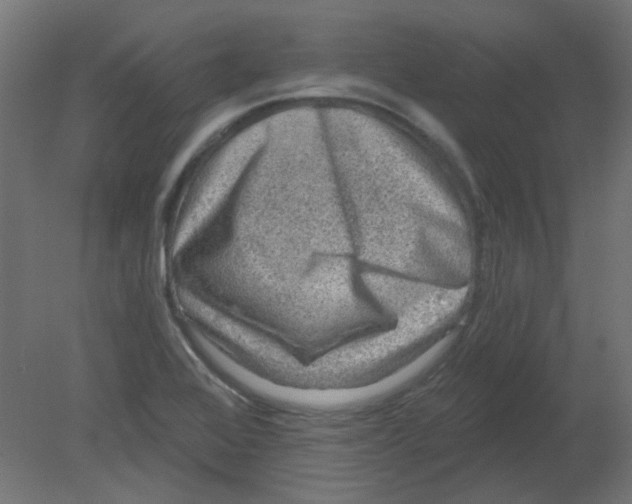 X0000080741368200701121925