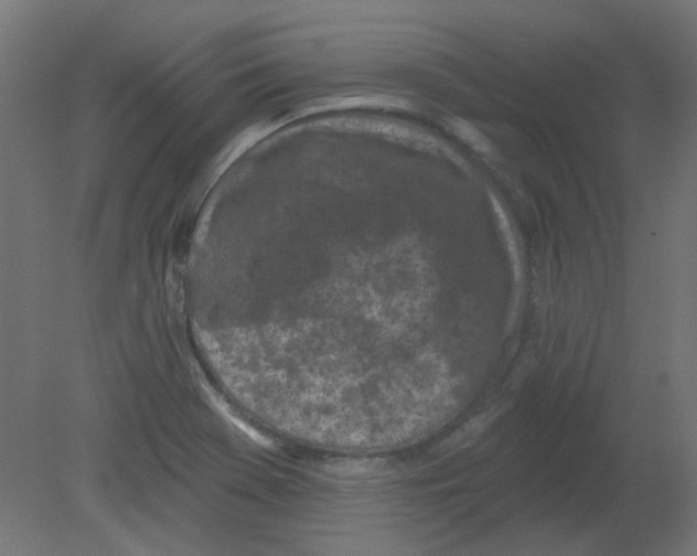 X0000080741369200701121925