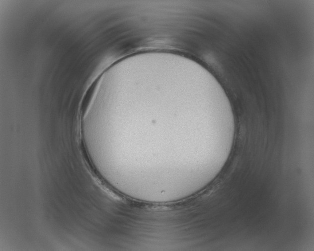 X0000080741370200701121925