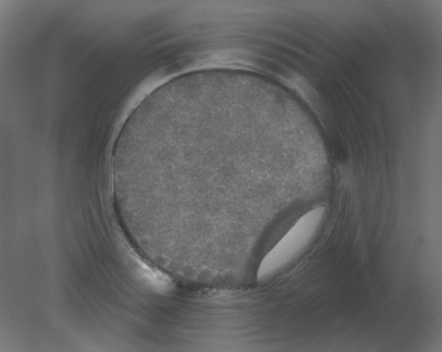 X0000080741371200701121925