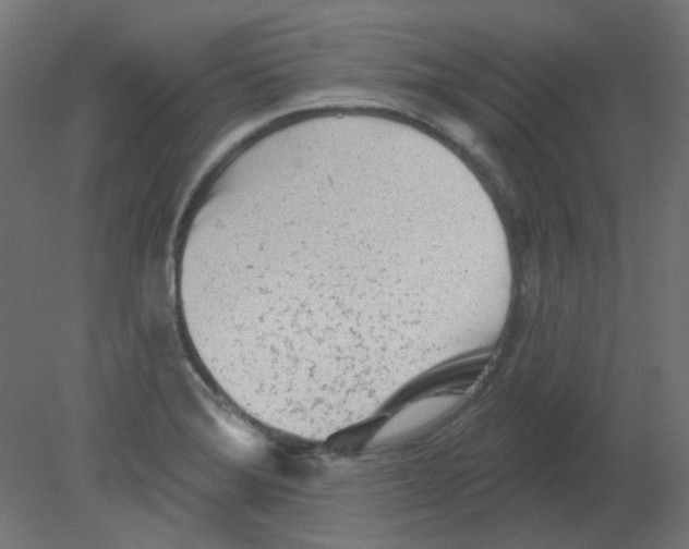 X0000080741372200701121925