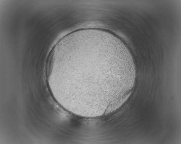 X0000080741374200701121925