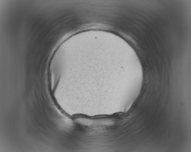 X0000080741375200701121925