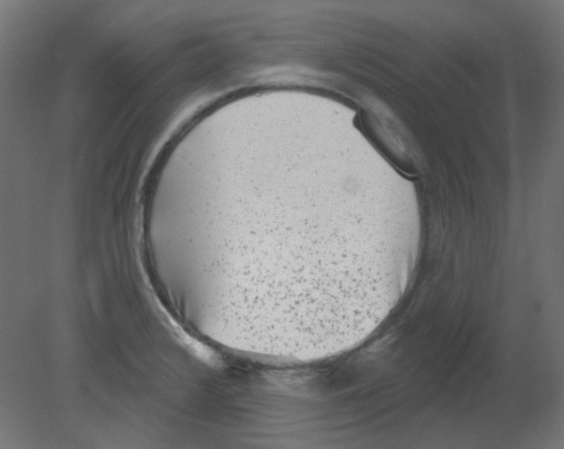 X0000080741376200701121925