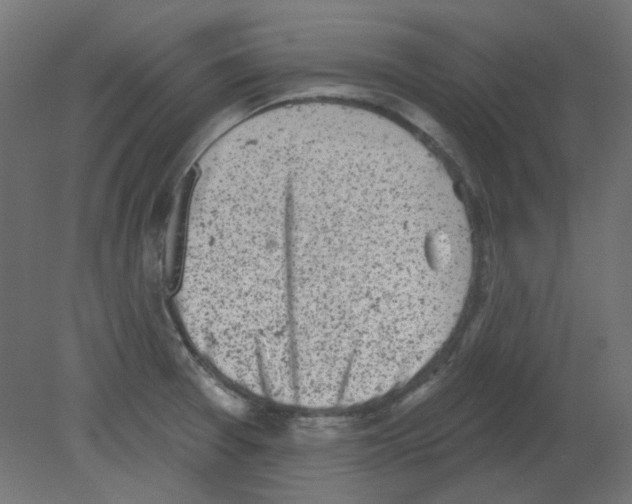 X0000080741377200701121925