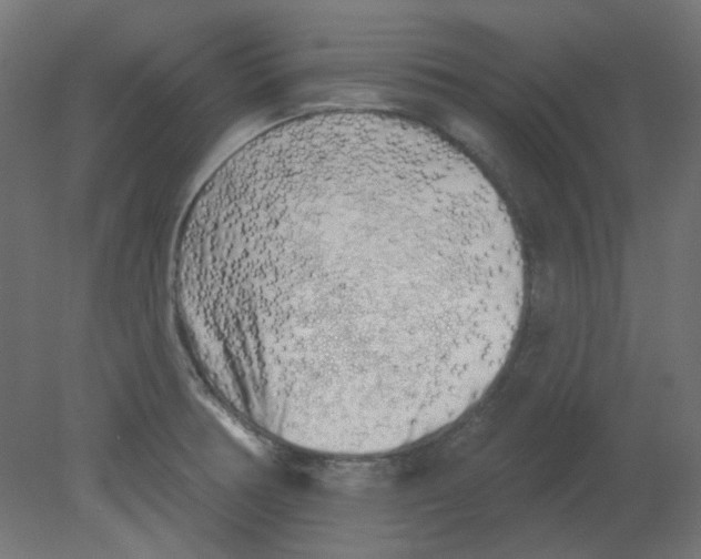 X0000080741378200701121925