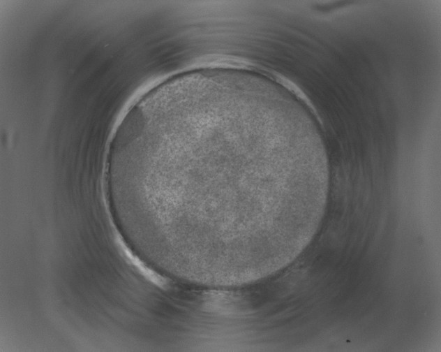 X0000080741379200701121925