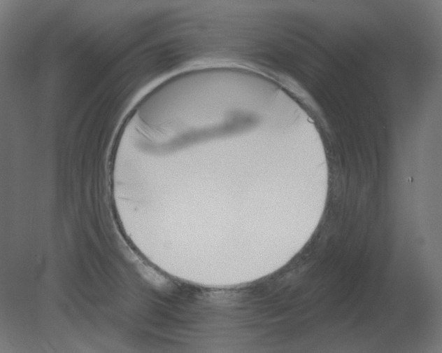 X0000080741380200701121925