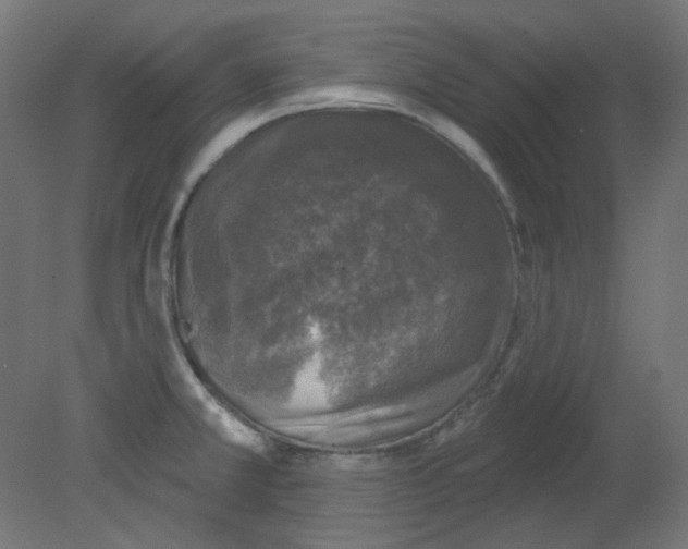 X0000080741381200701121925