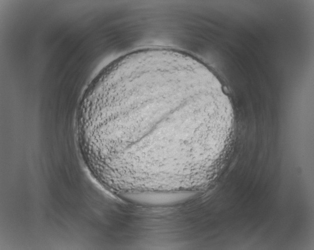 X0000080741382200701121925