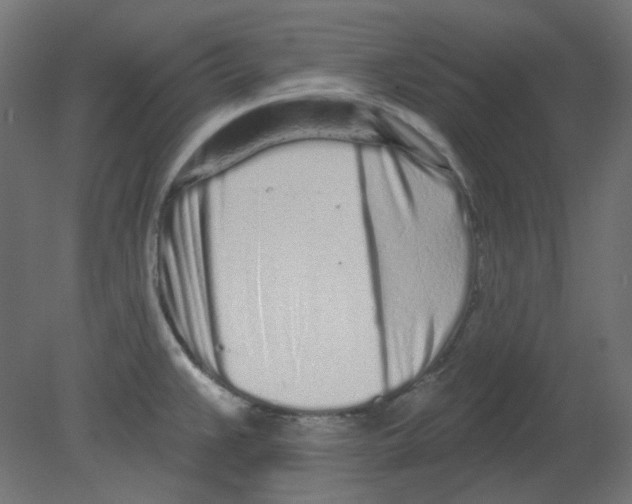 X0000080741383200701121925