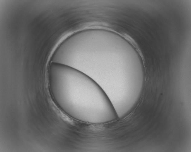 X0000080741384200701121925