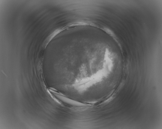 X0000080741385200701121925