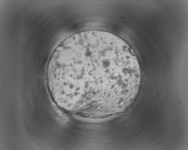 X0000080741386200701121925