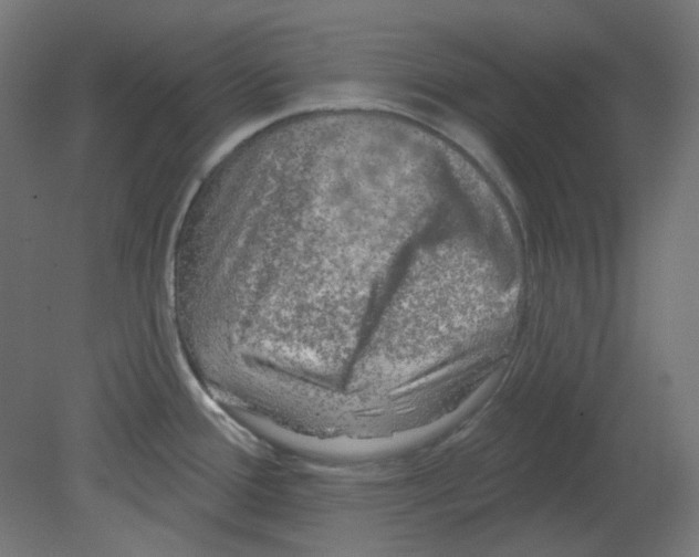 X0000080741388200701121925