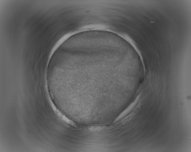 X0000080741389200701121925