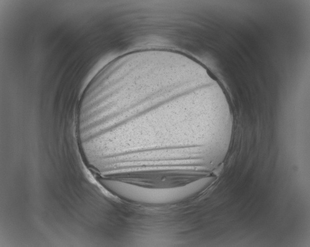 X0000080741390200701121925