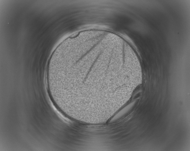 X0000080741391200701121925