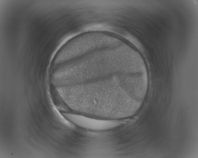 X0000080741392200701121925