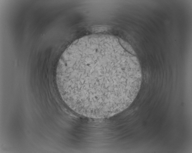 X0000080741393200701121924