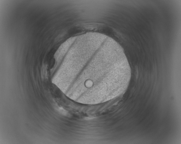 X0000080741394200701121924