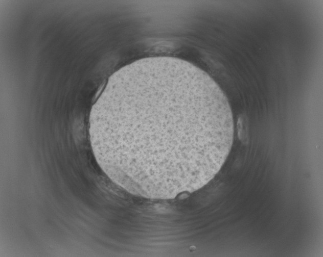 X0000080741395200701121924