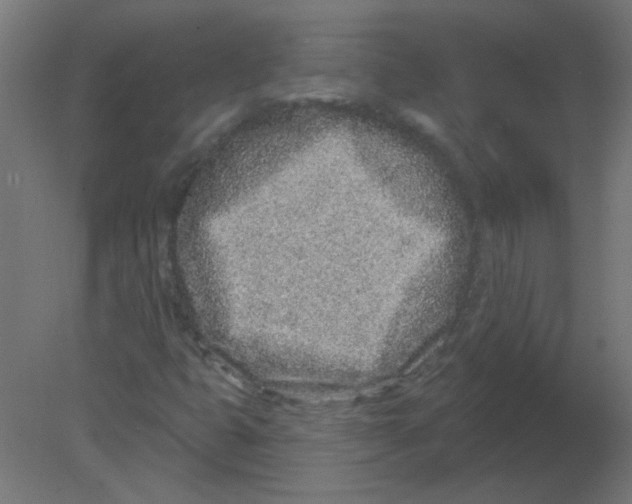 X0000080741399200701121924