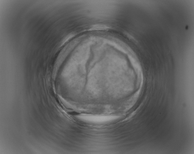 X0000080741401200701121924