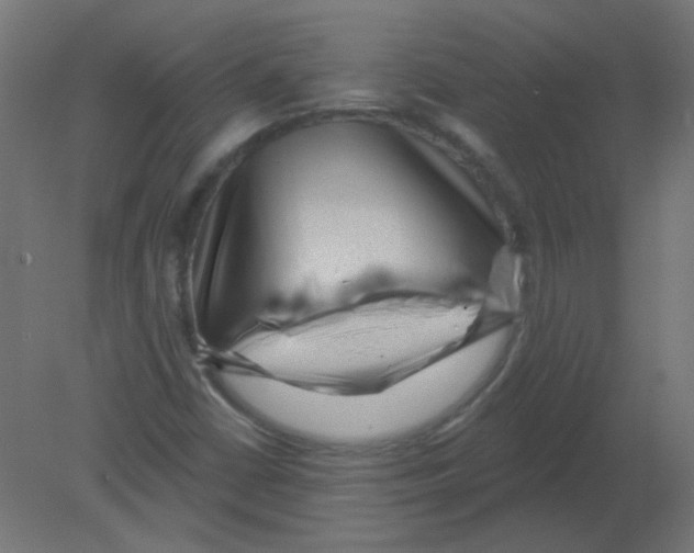 X0000080741402200701121924