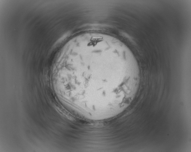 X0000080741403200701121924