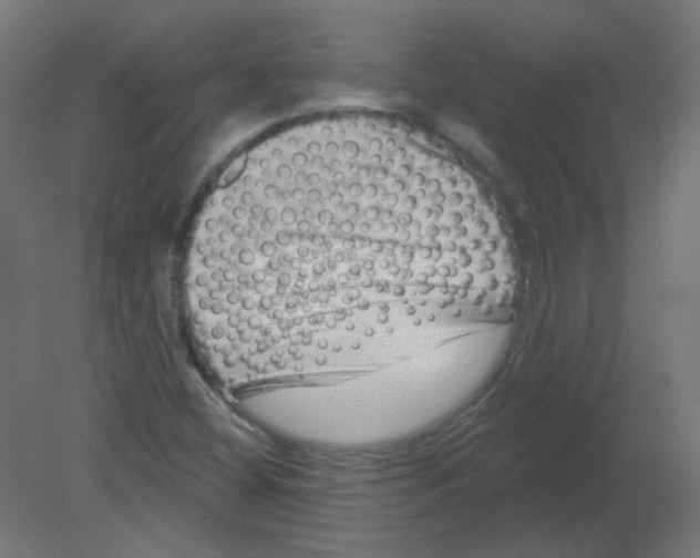 X0000080741404200701121924