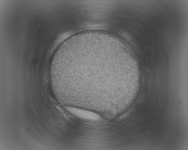 X0000080741405200701121924