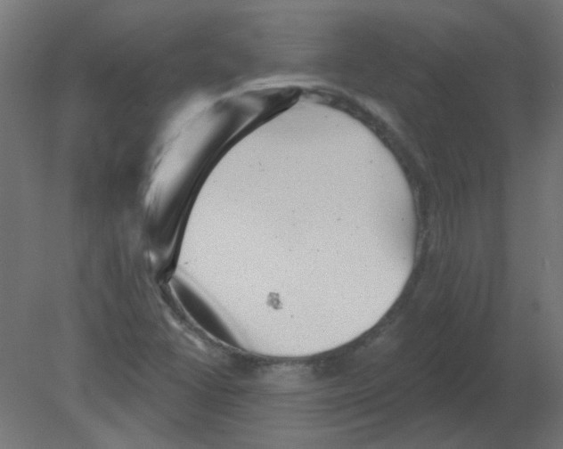 X0000080741406200701121924