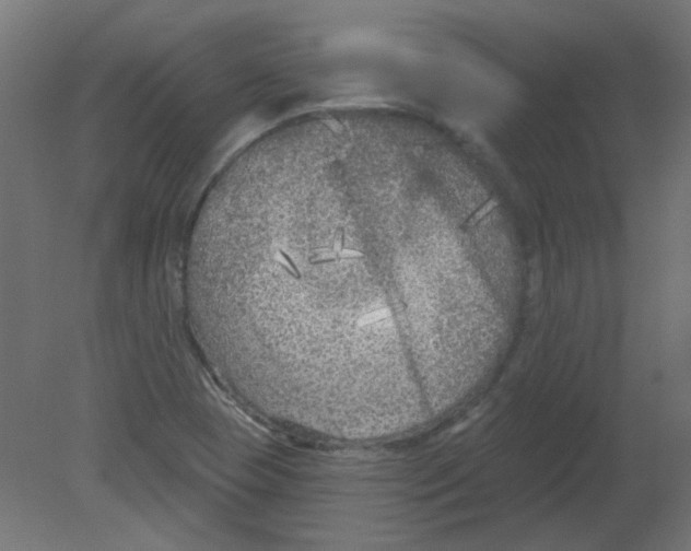 X0000080741409200701121925