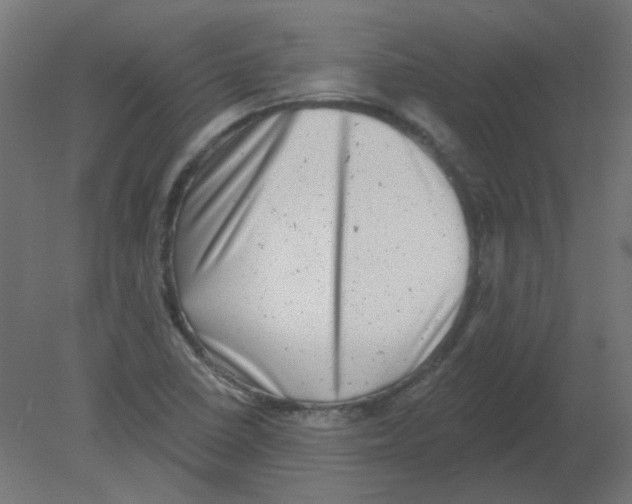 X0000080741410200701121925