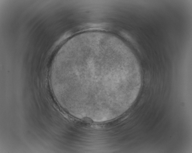 X0000080741411200701121925