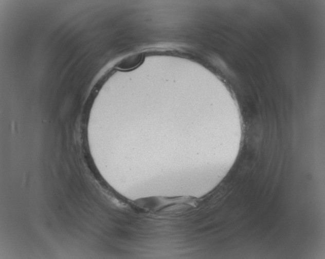 X0000080741412200701121925