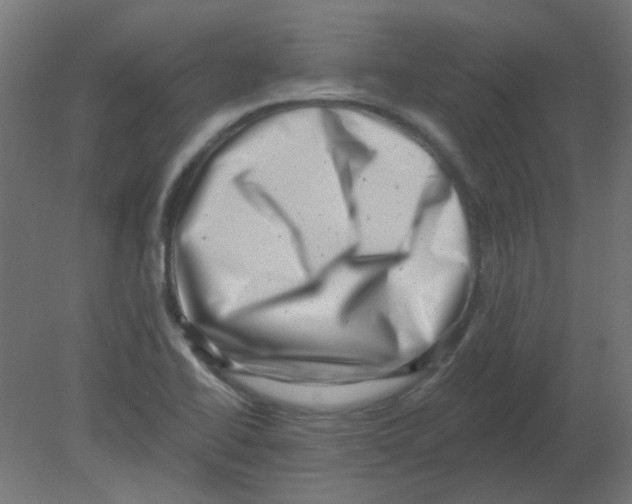 X0000080741414200701121925