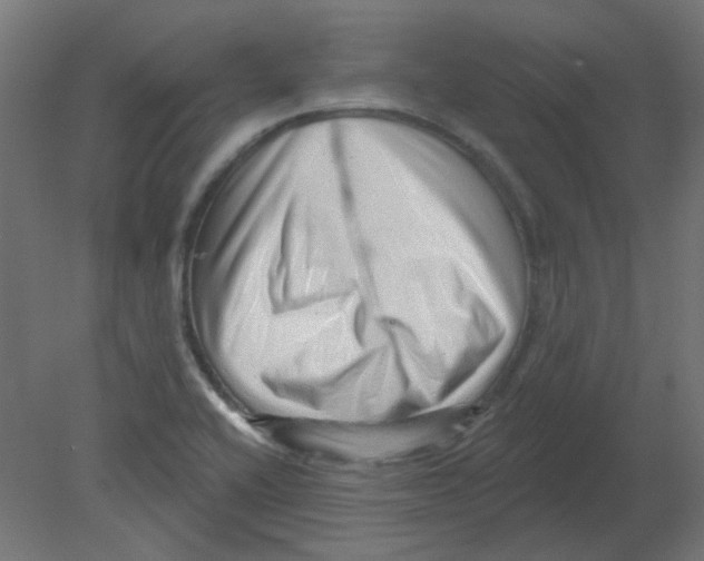 X0000080741416200701121925