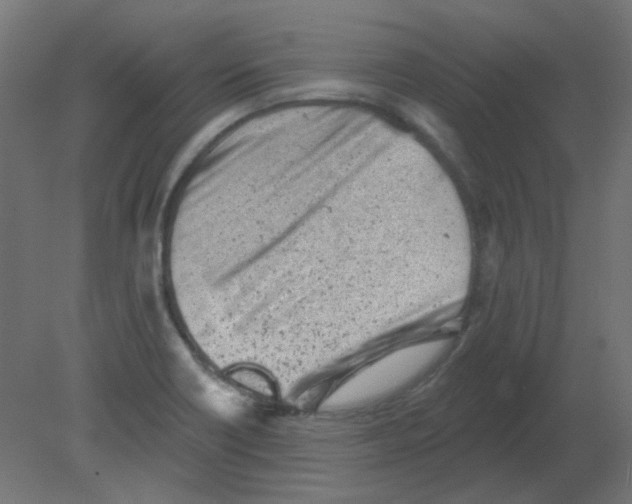 X0000080741418200701121925