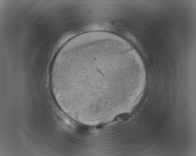 X0000080741419200701121925