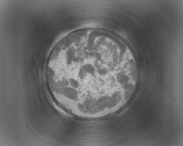 X0000080741421200701121925