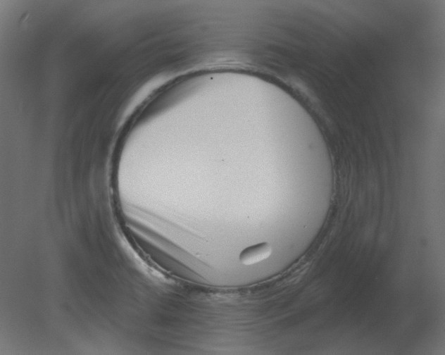 X0000080741422200701121925