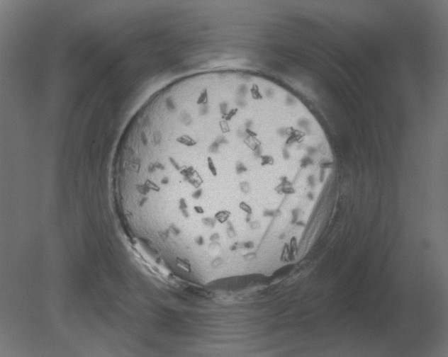 X0000080741423200701121925