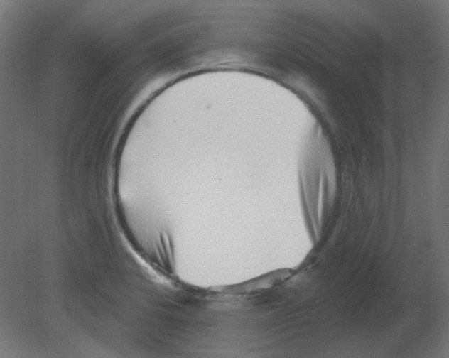 X0000080741424200701121925