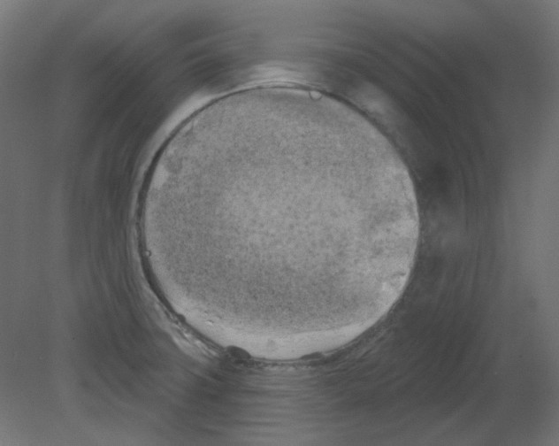 X0000080741427200701121925