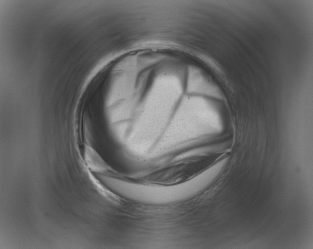 X0000080741430200701121925