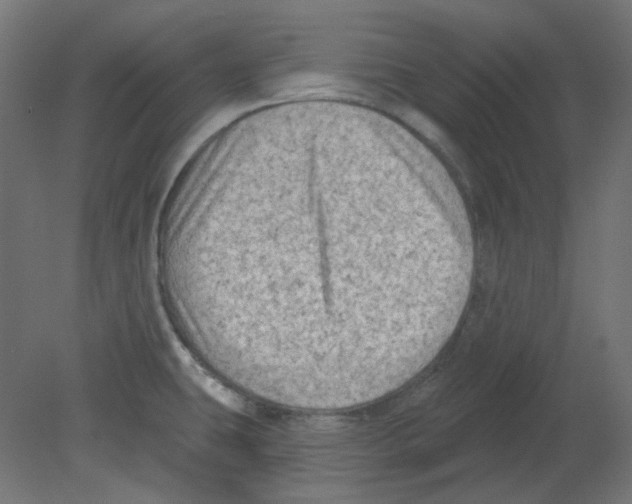 X0000080741431200701121925